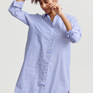 The Shirt WFH Dress
